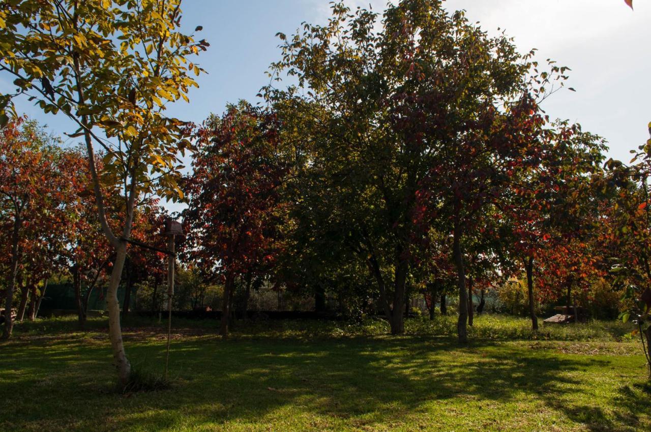 דירות וולוס Sinanis Garden House מראה חיצוני תמונה